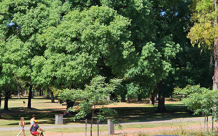 Bosques de Palmero, Buenos Aires, Argentinien