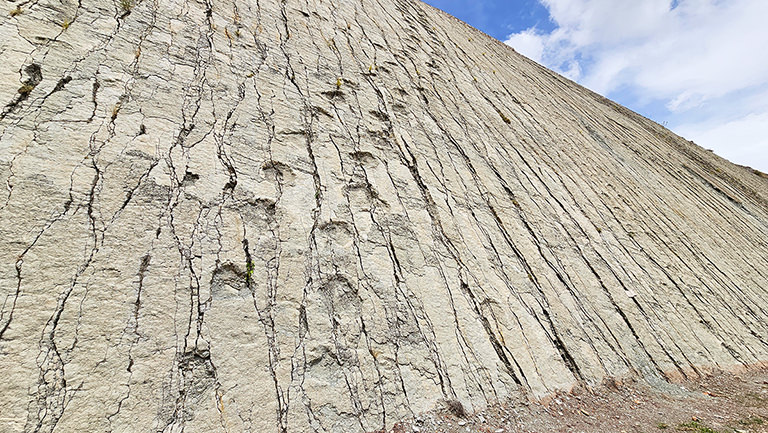 Dinosaurierspuren Cal Orcko, Bolivien Dinosaurierspuren Cal Orcko, Bolivien