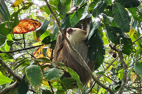Cahuita Nationalpark
