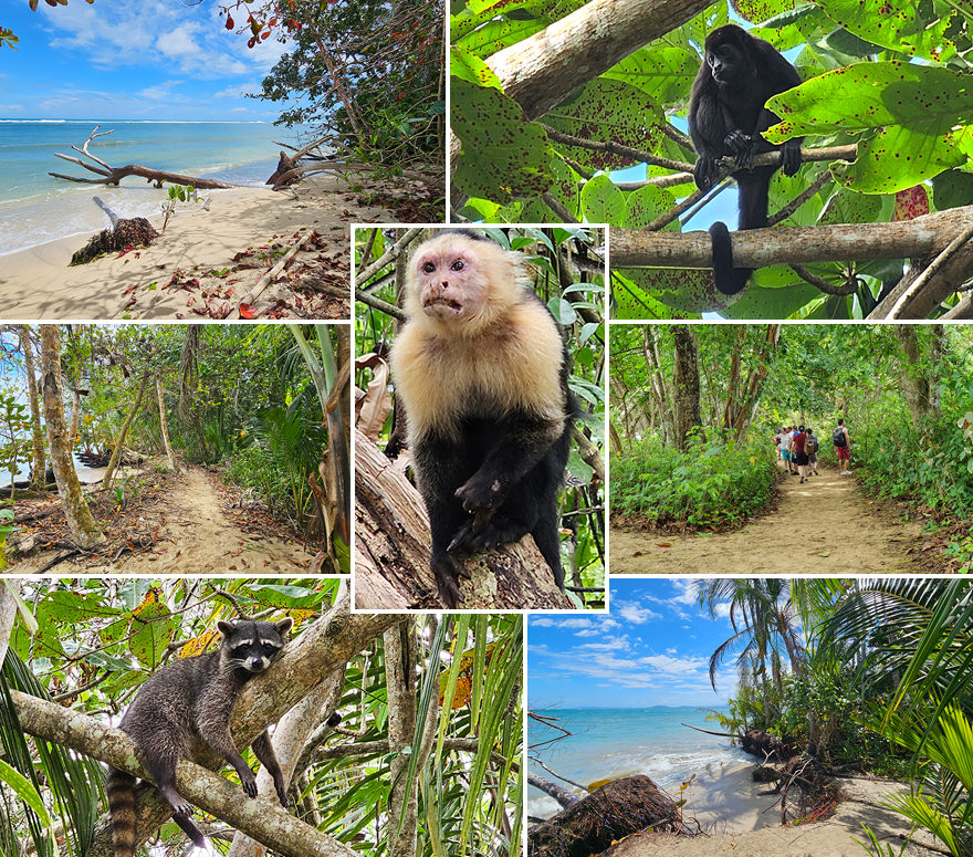 Cahuita Nationalpark Highlights