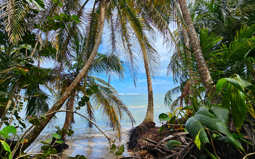 Küstenabschnitt Sektor Puerto Vargas
