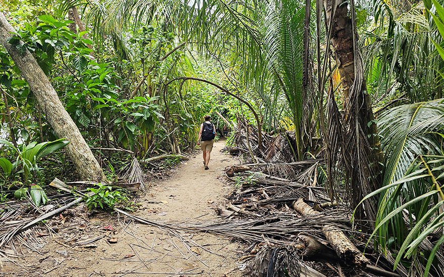 Wanderweg Cahuita-Nationalpark