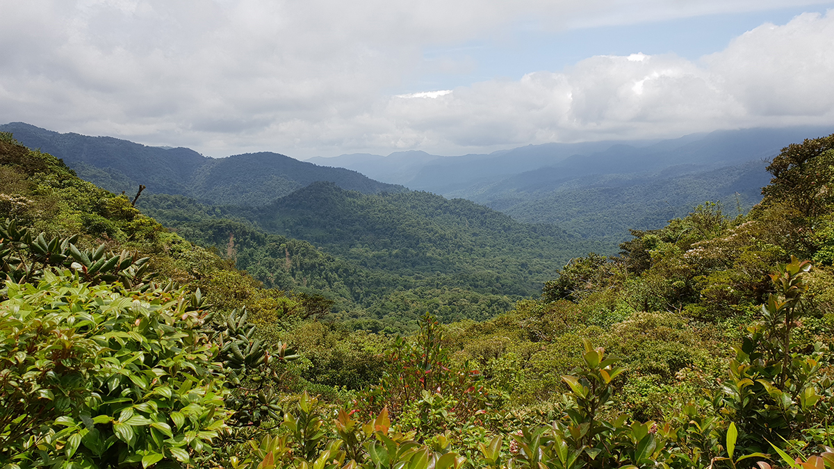 Mirador La Ventana, Reserva Monteverde
