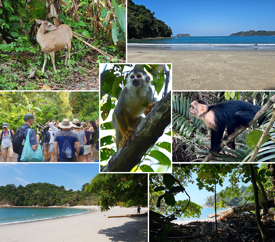 Highlights Nationalpark Manuel Antonio