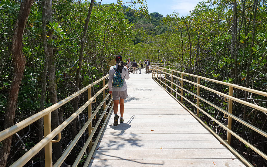 Universal Access Trail