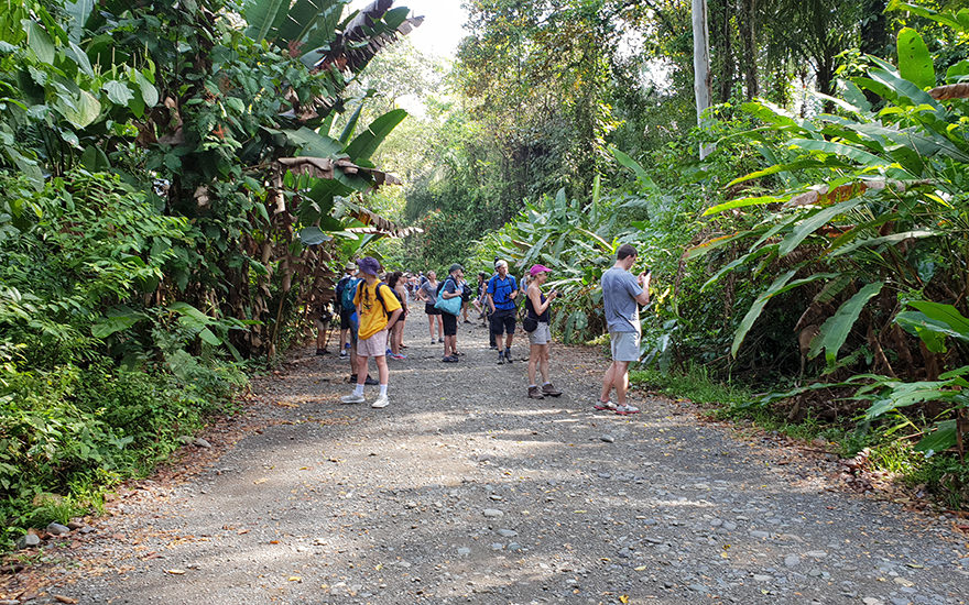 Weg Manuel-Antonio-Nationalpark