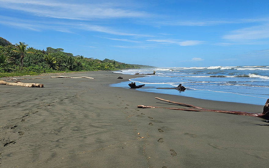 Menschenleerer Strand, Karibikküste Costa Rica
