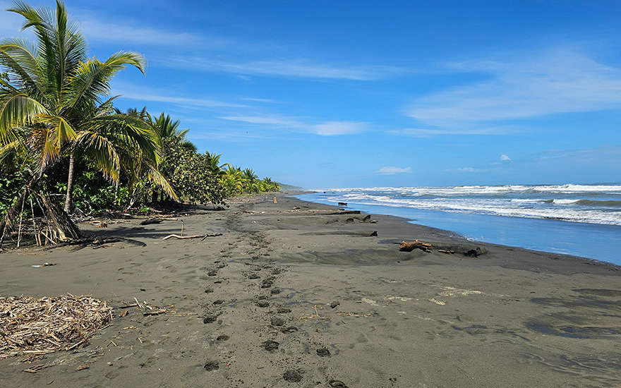 Playa Grande, Cahuita, Costa Rica