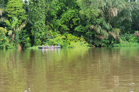 Tortuguero-Nationalpark