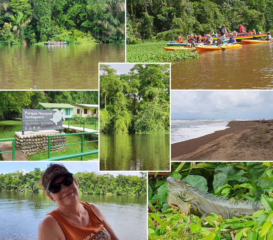Highlights Tortuguero-Nationalpark