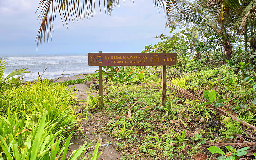 Strand Tortuguero