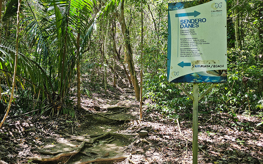 Wanderweg Naturschutzgebiet Cabo Blanco