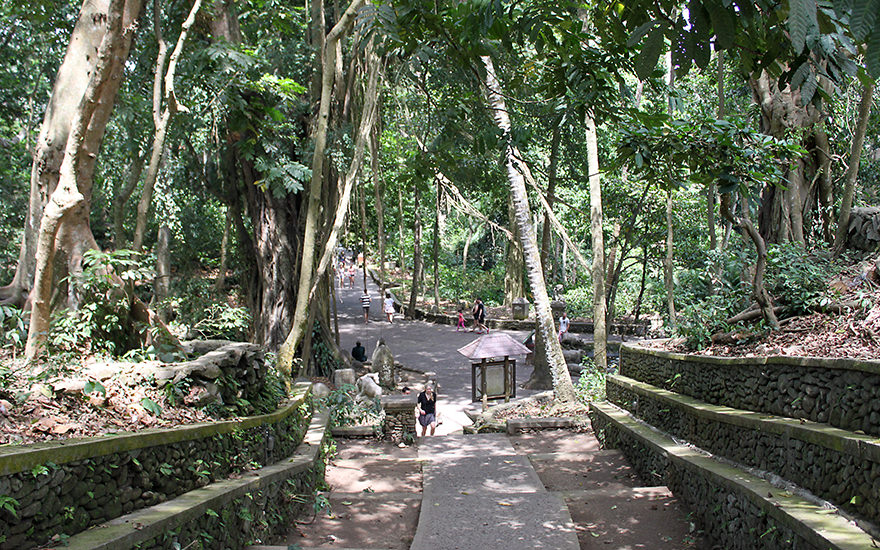 Monkey Forest Ubud