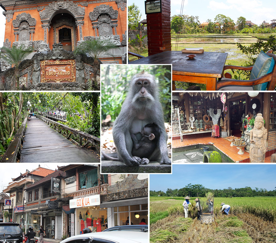 Ubud Highlights Ubud Highlights