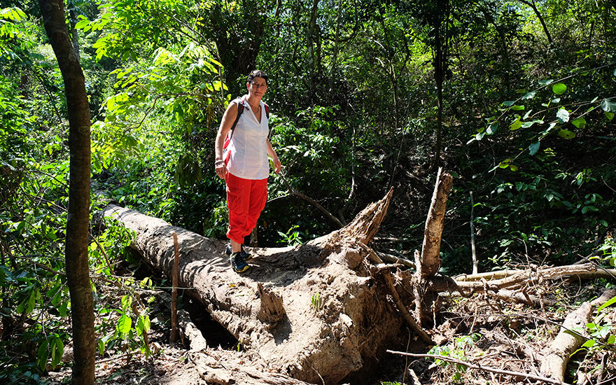 Trekking Bali-Barat-Nationalpark