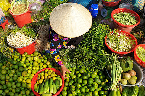 Südostasien Highlights