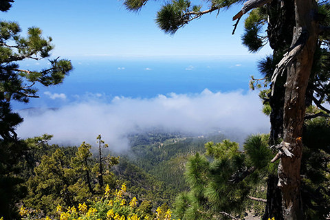 Caldera de Taburiente, La Palma
