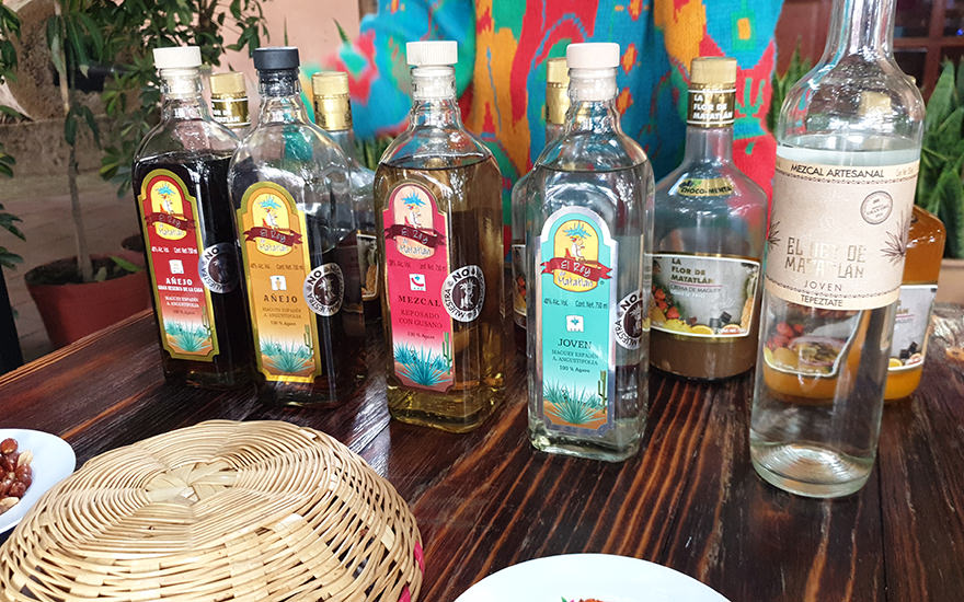 Mezcal Verkostung