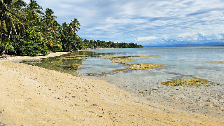 Playa Delicia, Isla Colón, Bocas del Toro, Panama