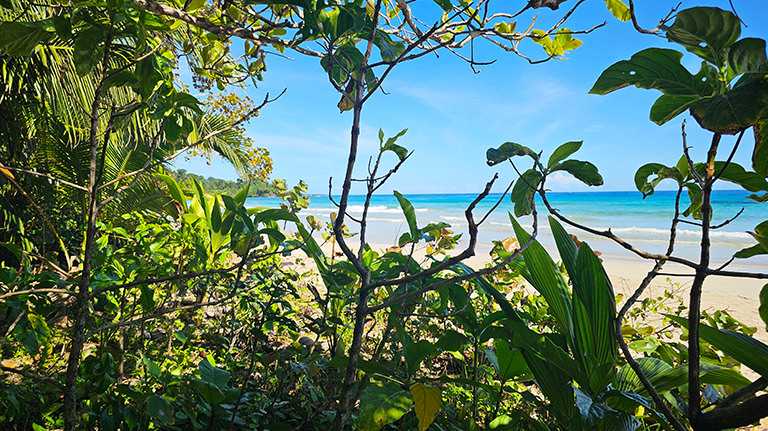Red Frog Beach, Isla Bastimentos, Bocas del Toro