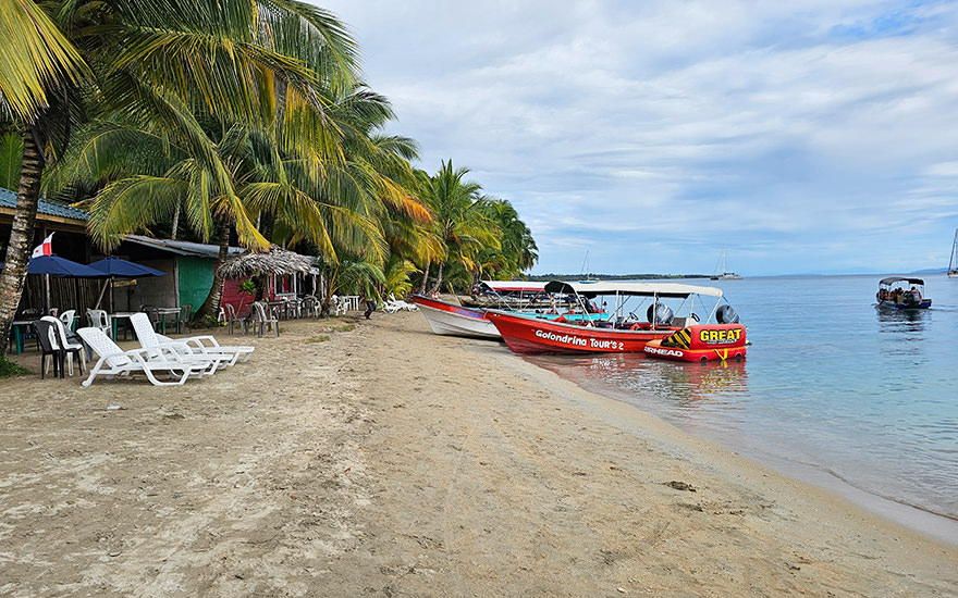 Starfish Beach, Isla Colón