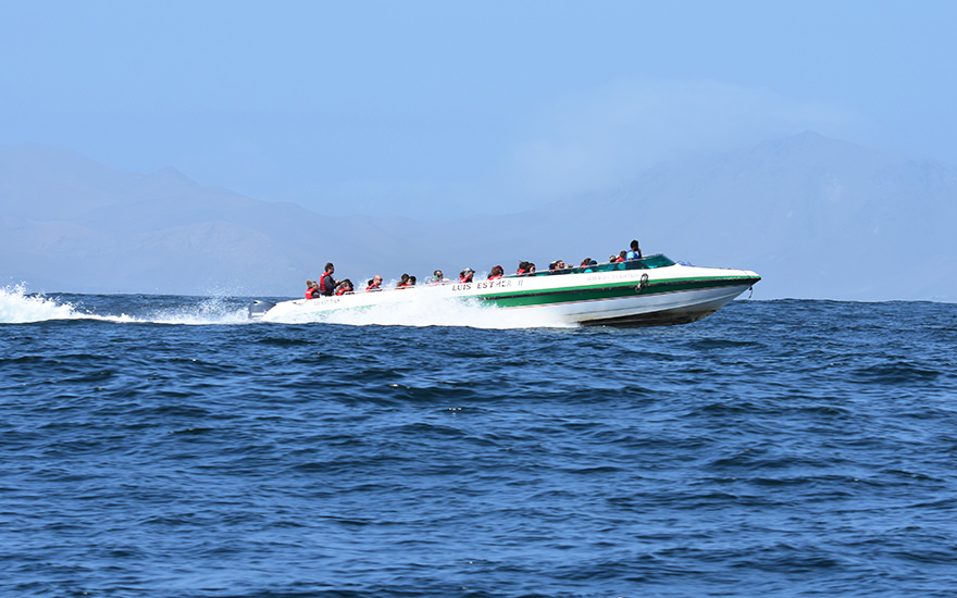 Schnellboot Islas Ballestas
