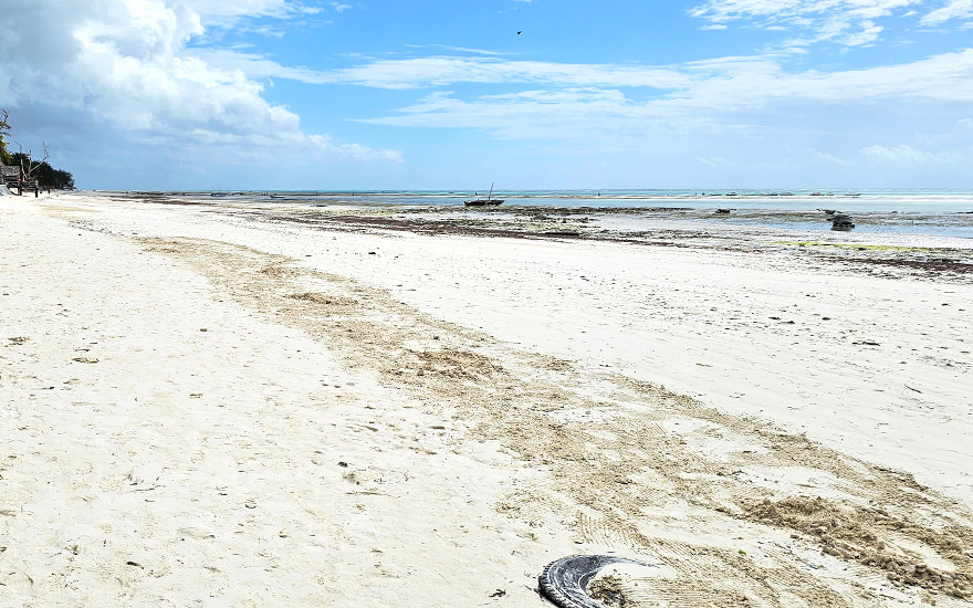 Pingwe Beach
