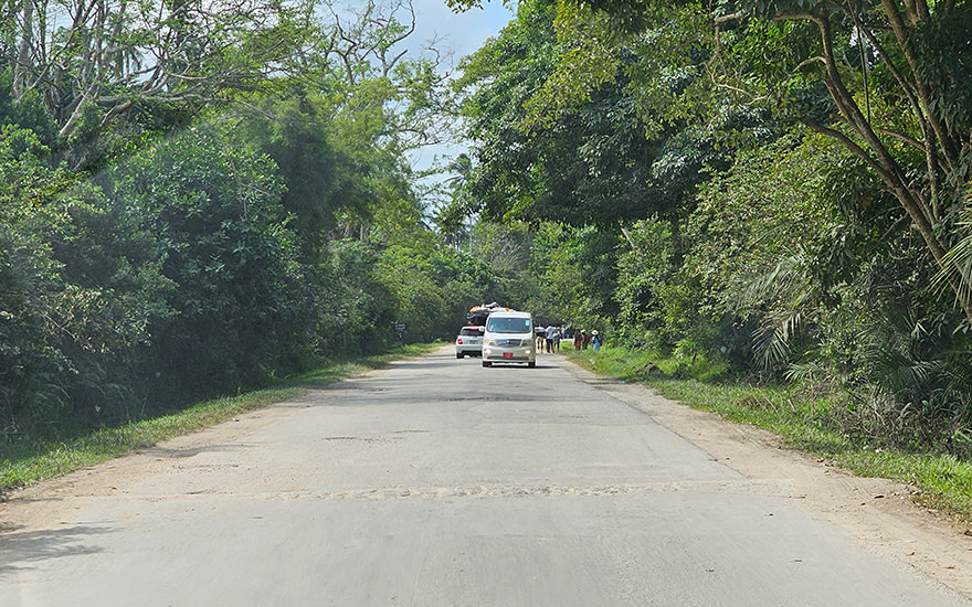 Straße Jozani Chwaka Bay National Park