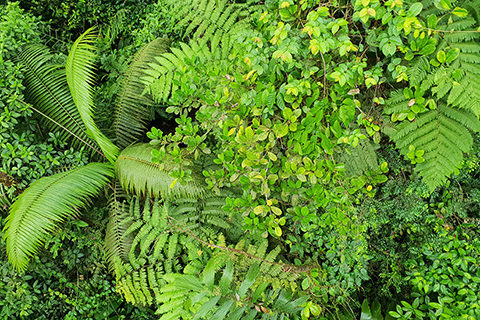 Costa Rica