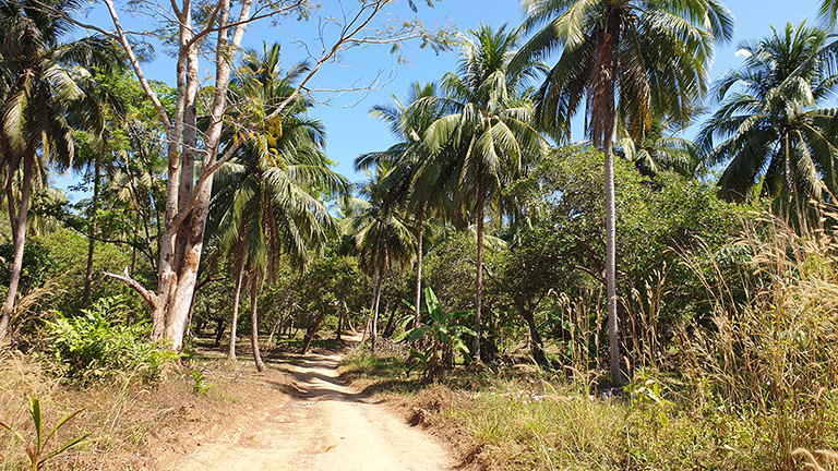 Sandpiste Koh Chang, Thailand Sandpiste Koh Chang, Thailand