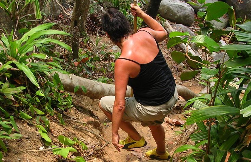 Dschungel-Trail Lam-Ru-Nationalpark