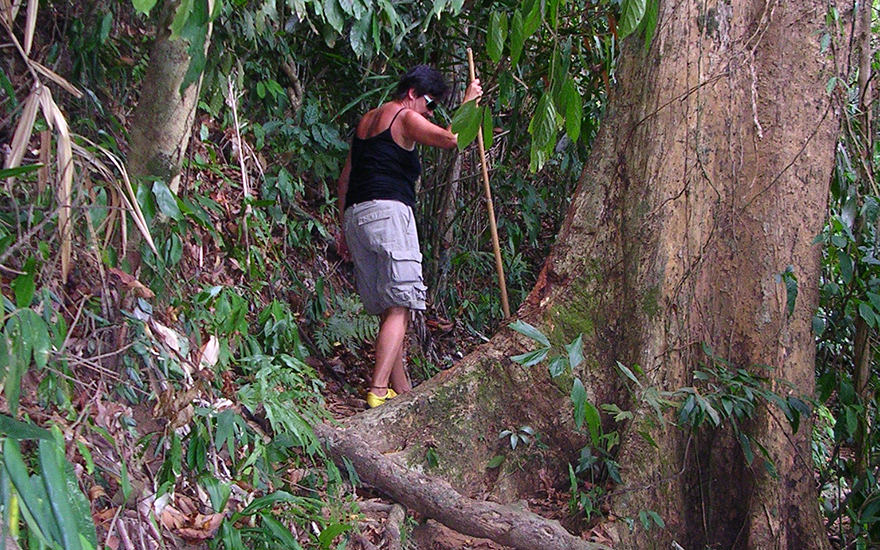 Wandererin auf einem Dschungelpfad im Lam Ru Nationalpark in Khao Lak