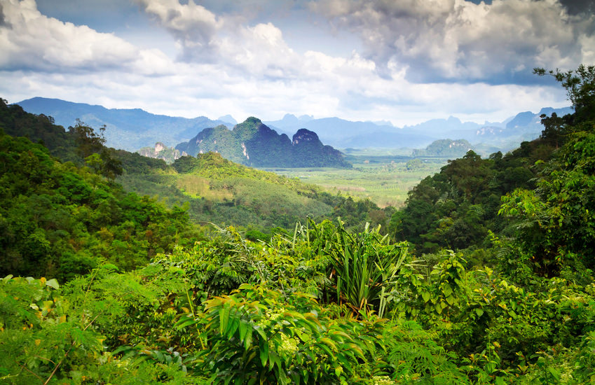 Khao-Sok-Nationalpark mit Regenwald und Kalksteinfelsen