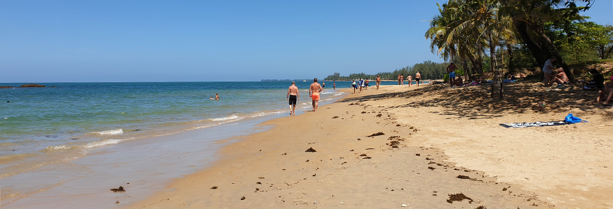 Nang Thong Beach in Khao Lak – goldgelber, langer Sandstrand mit Palmen und türkisblauem Wasser