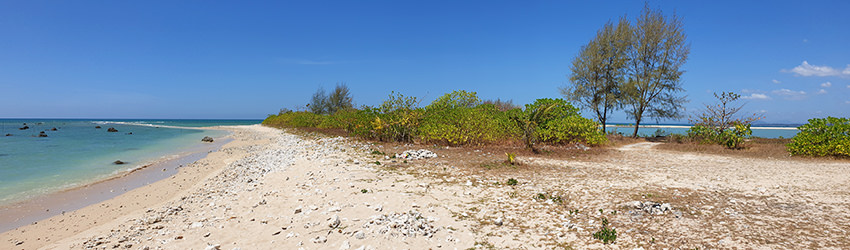 Laem Pakarang in Khao Lak mit Korallenresten am Strand, grünen Büschen und türkisfarbenem, flachem Meer