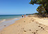 Nang Thong Beach in Khao Lak mit Palmen, Kasuarinen und Spaziergängern