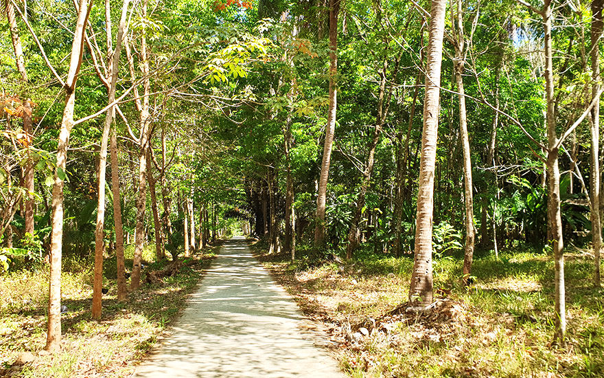 Straße Koh Chang