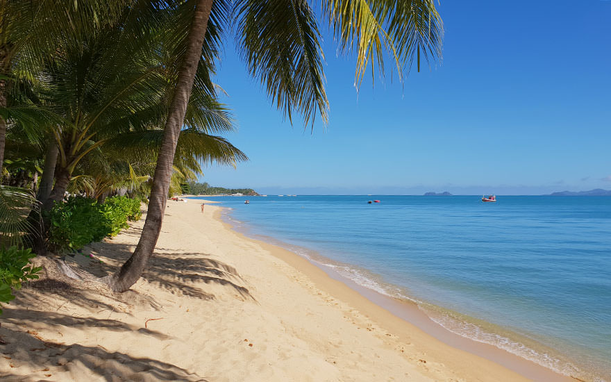 Maenam Beach auf Koh Samui mit gelblichem Sand, Palmen und türkisblauem Meer