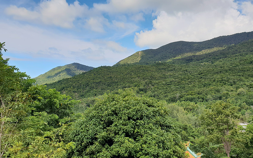 Grün bewaldete Berge im Inselinneren von Koh Phangan