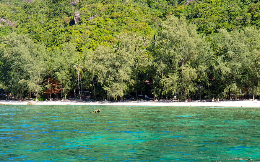 Khom Beach mit Palmen und grün-türkisfarbenem Wasser