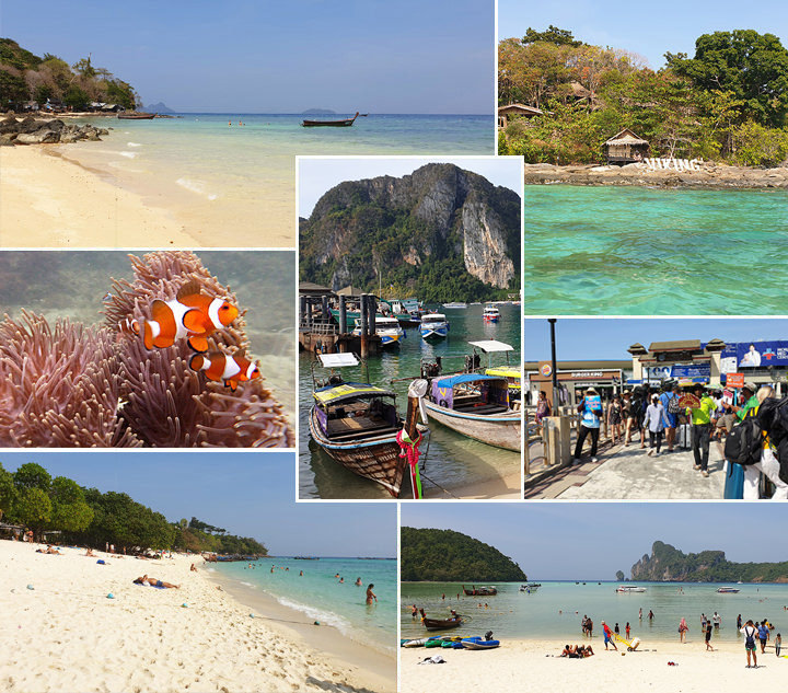 Strände und Highlights auf Koh Phi Phi, darunter Tonsai Bay mit Longtailbooten und Kalksteinfelsen, Long Beach mit hellem Sand und Badenden sowie Phak Nam Beach mit türkisfarbenem Wasser