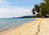 Lipa Noi Beach mit Palmen und türkisfarbenem Meer ohne Menschen