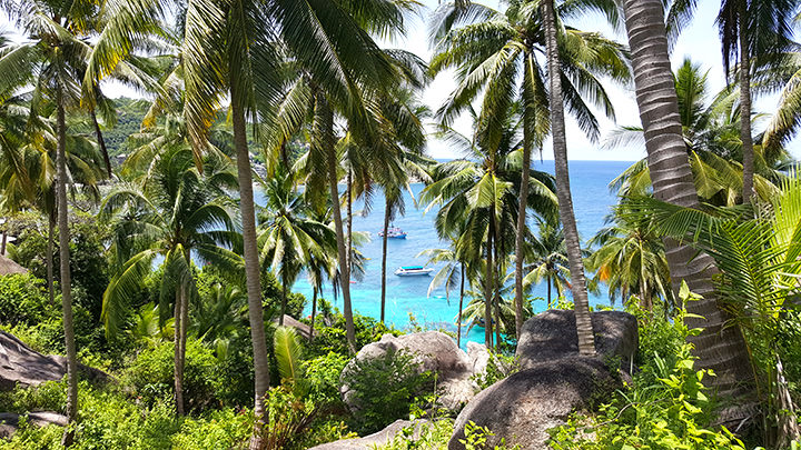 John Suwan Viewpoint Koh Tao