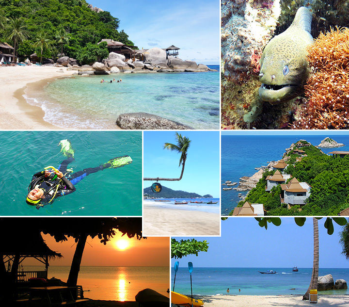 Koh Tao Highlights, u.a. Jensom Bay mit Felsen und türkisblauem Wasser, Taucherin, Unterwasseraufnahme Muräne und bewaldete Klippe am Sai Daeng Beach mit Bungalows