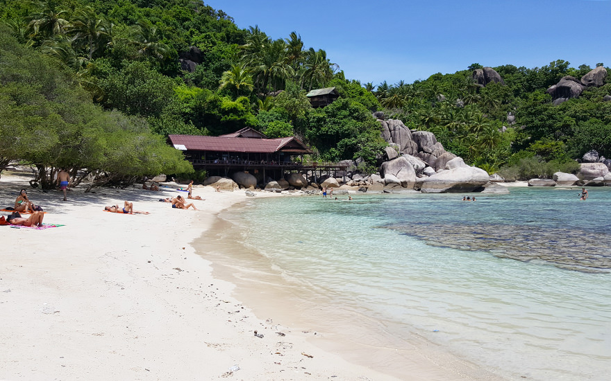 Freedom Beach auf Koh Tao mit weißem Sand, Bäumen, Menschen und glasklarem Wasser, dahinter bewaldete Hügel mit Felsen