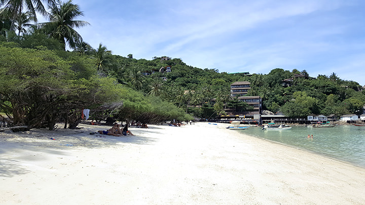 Shark Bay Koh Tao