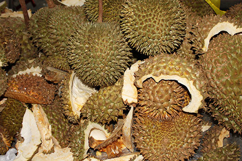 Durian-Früchte