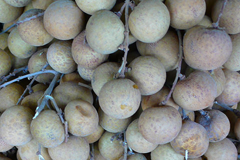 Longan-Früchte
