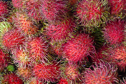 Rambutan-Früchte