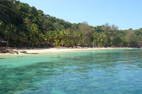 Koh Wai